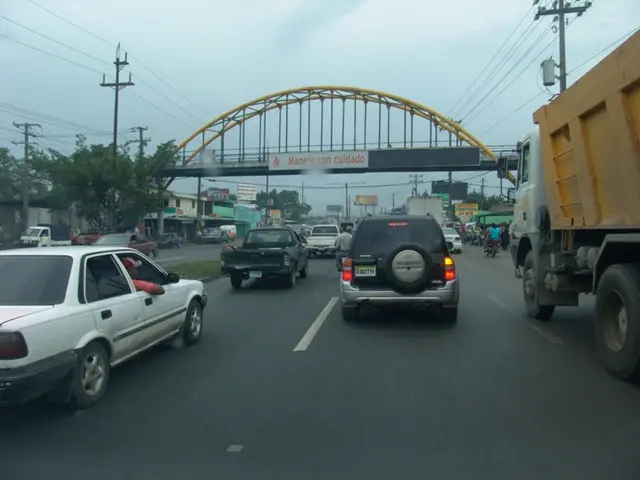 Navigating the Crests and Troughs of Powerball Fad Fortunes