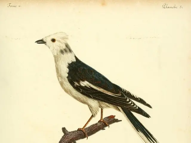 Elder and Historian Joe Medicine Crow of the Crow Tribe Passes Away at the Age of 102