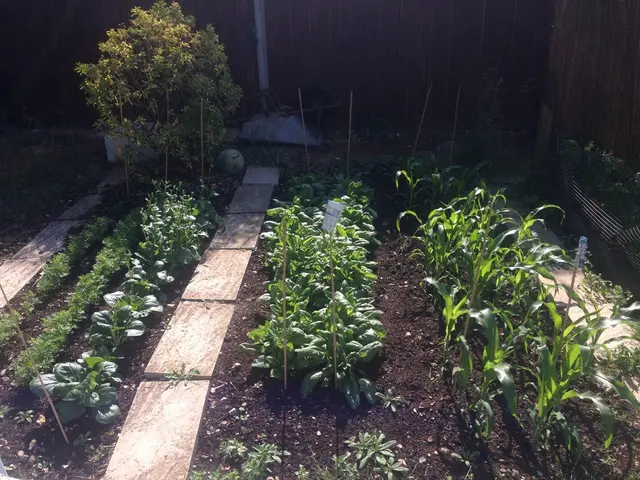 USDA's Growing Zone Map for Vermont - Identifying Ideal Planting Areas in Vermont